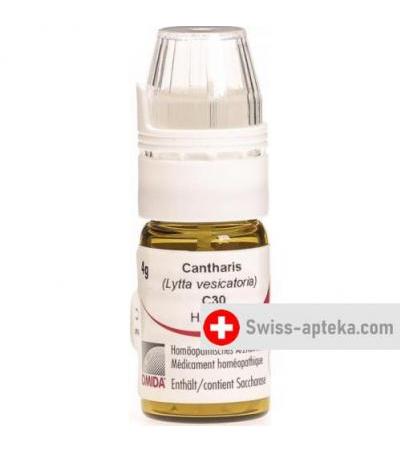 Omida Cantharis шарики C 30 м  4г