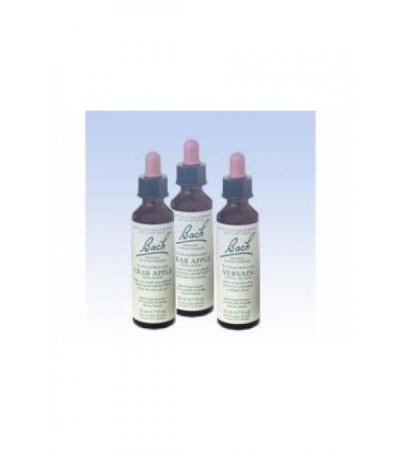 BACH-BLÜTEN Original Chicory No08 20 ml