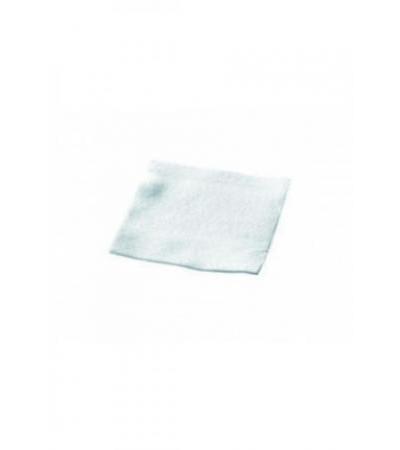 BIATAIN Alginate Ag 10x10cm 10 Stk