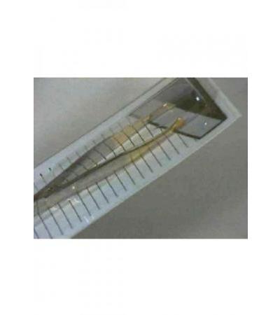 HERBA Pinzette 9cm schräg 5353