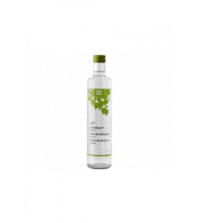 NATURKRAFTWERKE Birkensaft nativ Bio/kbA 500 ml