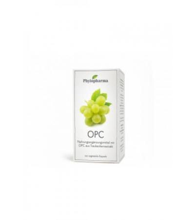 PHYTOPHARMA OPC Kaps 95 mg 120 Stk