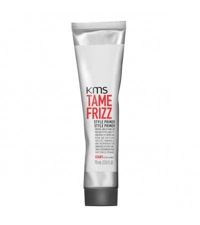TameFrizz - Style Primer