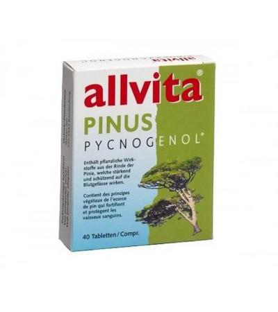 ALLVITA PINUS PYCNOGENOL 40 TABLETTEN