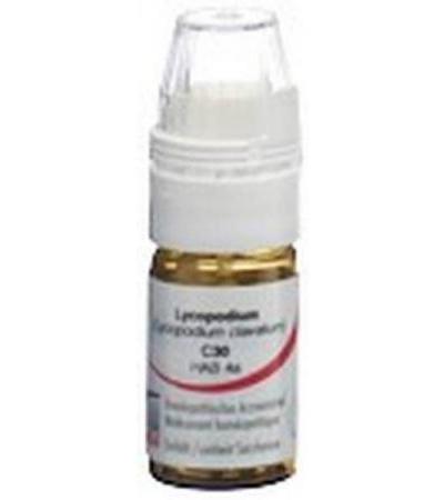 OMIDA LYCOPODIUM GLOB C 30 M DOSIERHILFE 4 G