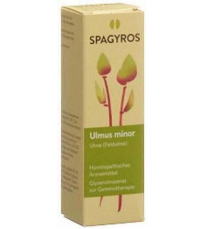 SPAGYROS GEMMO ULMUS MINOR GLYC MAZ D 1 30 ML