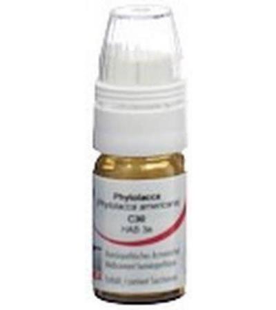 OMIDA PHYTOLACCA GLOB C 30 M DOSIERHILFE 4 G