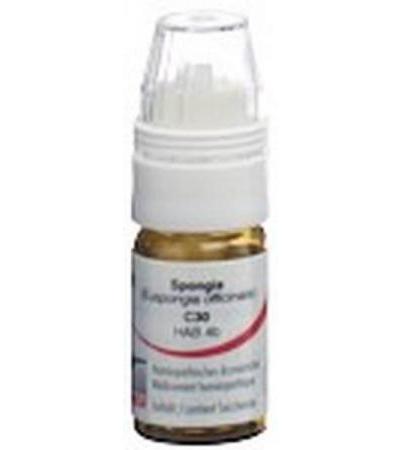 OMIDA SPONGIA GLOB C 30 M DOSIERHILFE 4 G