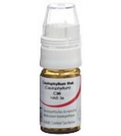 OMIDA CAULOPHYLLUM GLOB C 30 M DOSIERHILFE 4 G