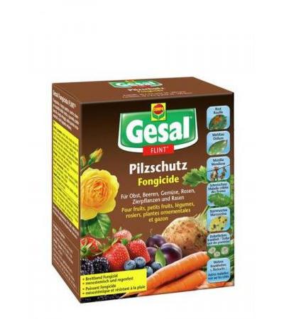GESAL PILZSCHUTZ FLINT 10 BTL 2.5 G