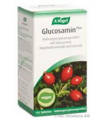 VOGEL GLUCOSAMIN PLUS TABL MIT HAGEBUTTENEXTRAKT 120 STK