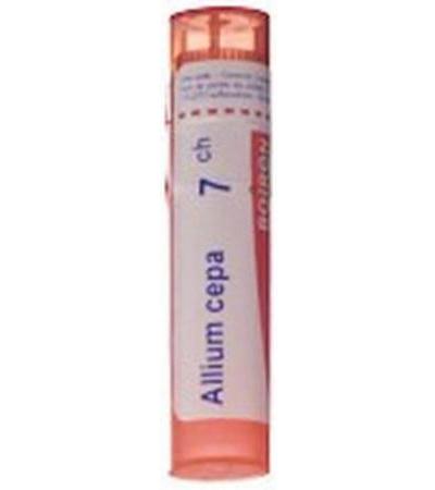 BOIRON ALLIUM CEPA GRAN C 7 4 G