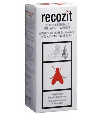 RECOZIT FRUCHTFLIEGENFALLE