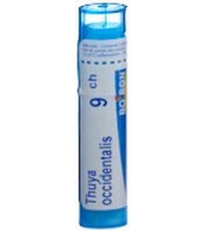 BOIRON THUYA OCCIDENTALIS GRAN C 9 4 G