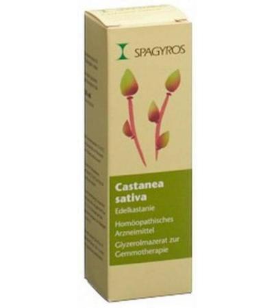 SPAGYROS GEMMO CASTANEA SATIVA GLYC MAZ D 1 30 ML