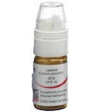 OMIDA LEDUM GLOB D 12 DOSIERHILFE 4 G