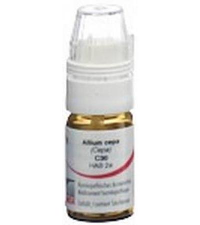 OMIDA ALLIUM CEPA GLOB C 30 M DOSIERHILFE 4 G