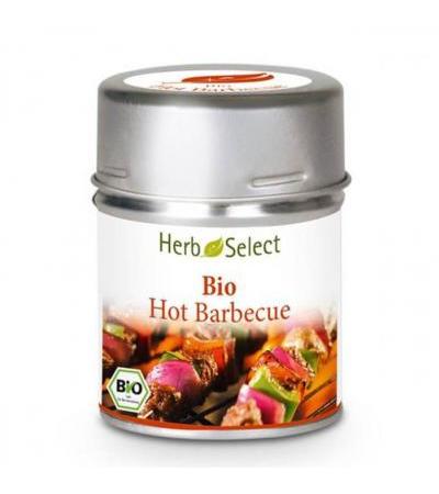 HERBSELECT HOT BARBECUE BIO 50 G