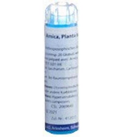 WELEDA ARNICA PLANTA TOTA GLOB D 3 4 G