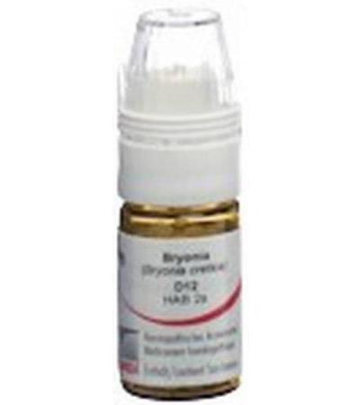 OMIDA BRYONIA GLOB D 12 DOSIERHILFE 4 G