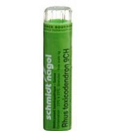 SN RHUS TOXICODENDRON GRAN CH 9 4 G