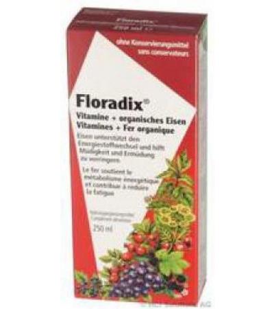 FLORADIX VITAMINE + ORGANISCHES EISEN SAFT FL 250 ML