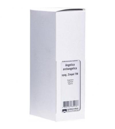 HEIDAK SPAGYRIK ANGELICA ARCHANGELICA 500 ML